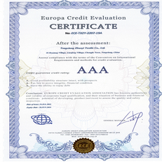 Europa Credit Evaluation00 - Europa Credit Evaluation00 -